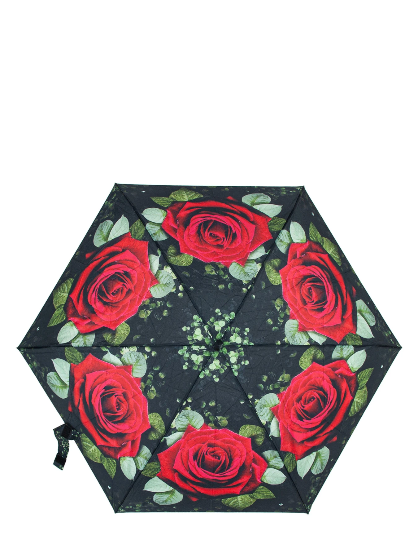 Зонты Fulton Umbrellas Tiny-2 модель L501-041635 Фото