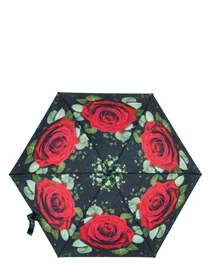 Зонты Fulton Umbrellas Tiny-2 модель L501-041635 Фото