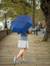 Зонты Fulton Umbrellas Superslim-2 модель L553-041239 Фото
