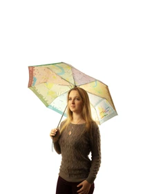 Зонты Fulton Umbrellas Brollymap модель L761-022498 Фото