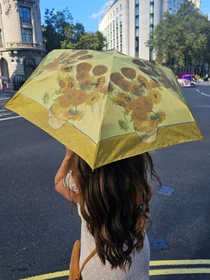 Зонты Fulton Umbrellas The National Gallery Tiny-2 модель L794-031889 Фото