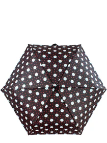 Зонты Fulton Umbrellas Lulu Guinness Minilite-2 модель L869-036822 Фото
