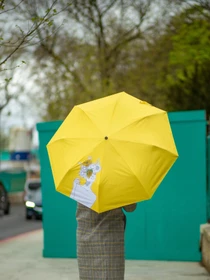 Зонты Fulton Umbrellas The National Gallery Minilite-2 модель L884-040171 Фото