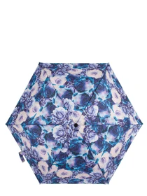 Зонты Fulton Umbrellas Eco Planet модель L905-039540 Фото