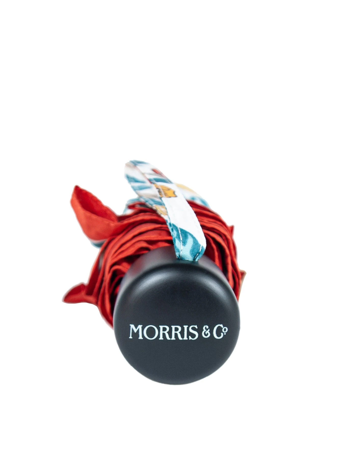 Зонты Fulton Umbrellas Minilite-2 модель L907-040447 Фото