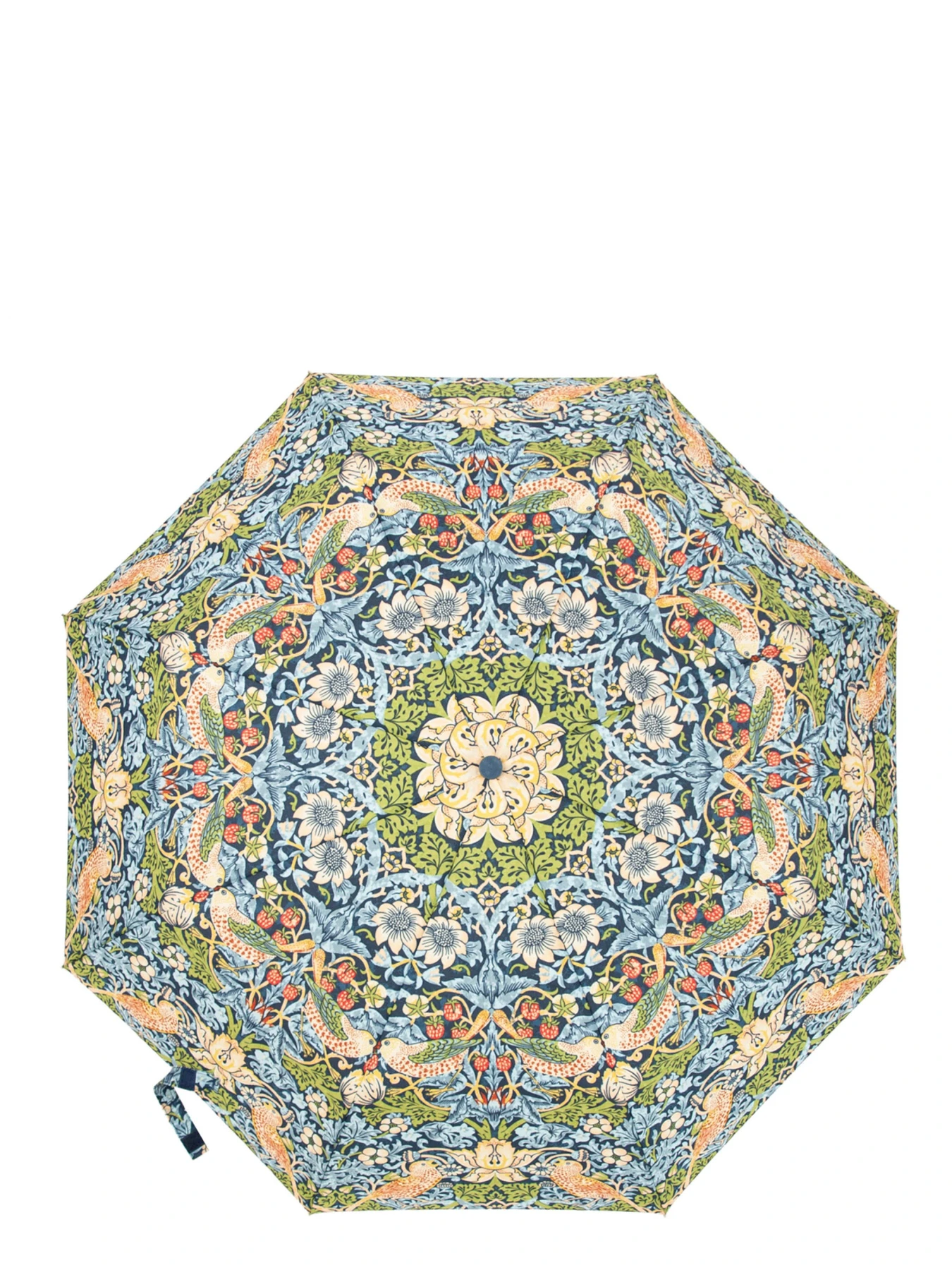 Парасольки Fulton Umbrellas Minilite-2 модель L907-040669 Парасольки Fulton Umbrellas Minilite-2 модель L907-040669 Фото