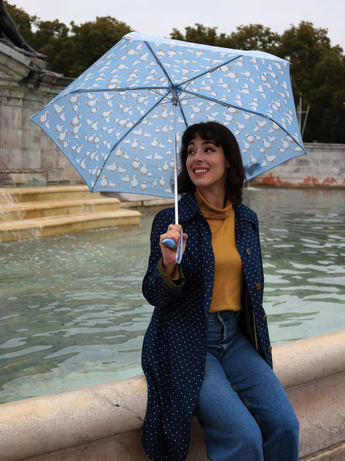 Зонты Fulton Umbrellas Curio-2 модель L926-039984 Зонты Fulton Umbrellas Curio-2 модель L926-039984 Фото