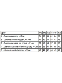 Одежда для дома и сна Носи своє модель 6076-024-33-1-2-futbol-kltinka-chornilxno-sinj Фото