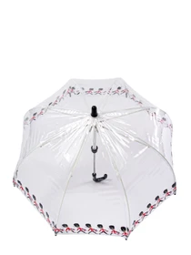 Зонты Fulton Umbrellas Funbrella-4 модель C605-030912 Фото