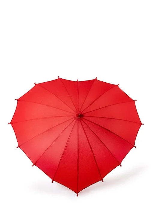 Парасольки Fulton Umbrellas Junior модель C913-039786 Фото