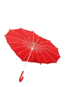 Зонты Fulton Umbrellas Junior модель C913-039786 Фото