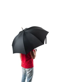 Зонты Fulton Umbrellas Governor-1 модель G801-001431 Фото