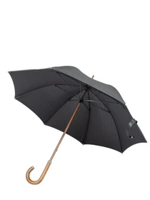 Зонты Fulton Umbrellas Diamond The Radiant модель G851-035153 Фото