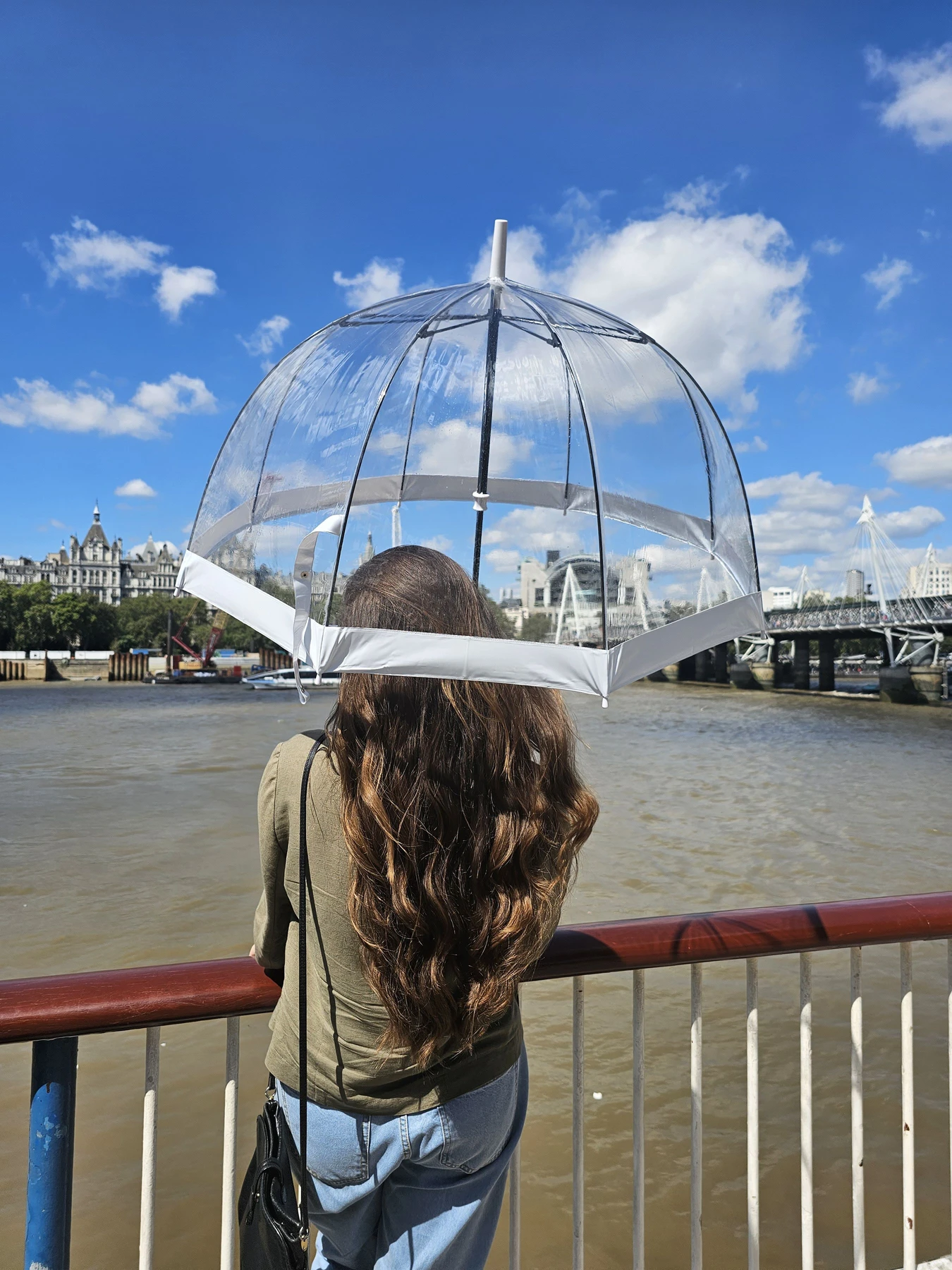 Парасольки Fulton Umbrellas Birdcage-1 модель L041-015582 Фото