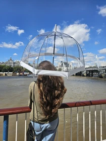 Парасольки Fulton Umbrellas Birdcage-1 модель L041-015582 Фото