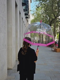 Парасольки Fulton Umbrellas Birdcage-1 модель L041-015889 Фото
