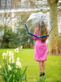 Парасольки Fulton Umbrellas Birdcage-1 модель L041-024157 Фото