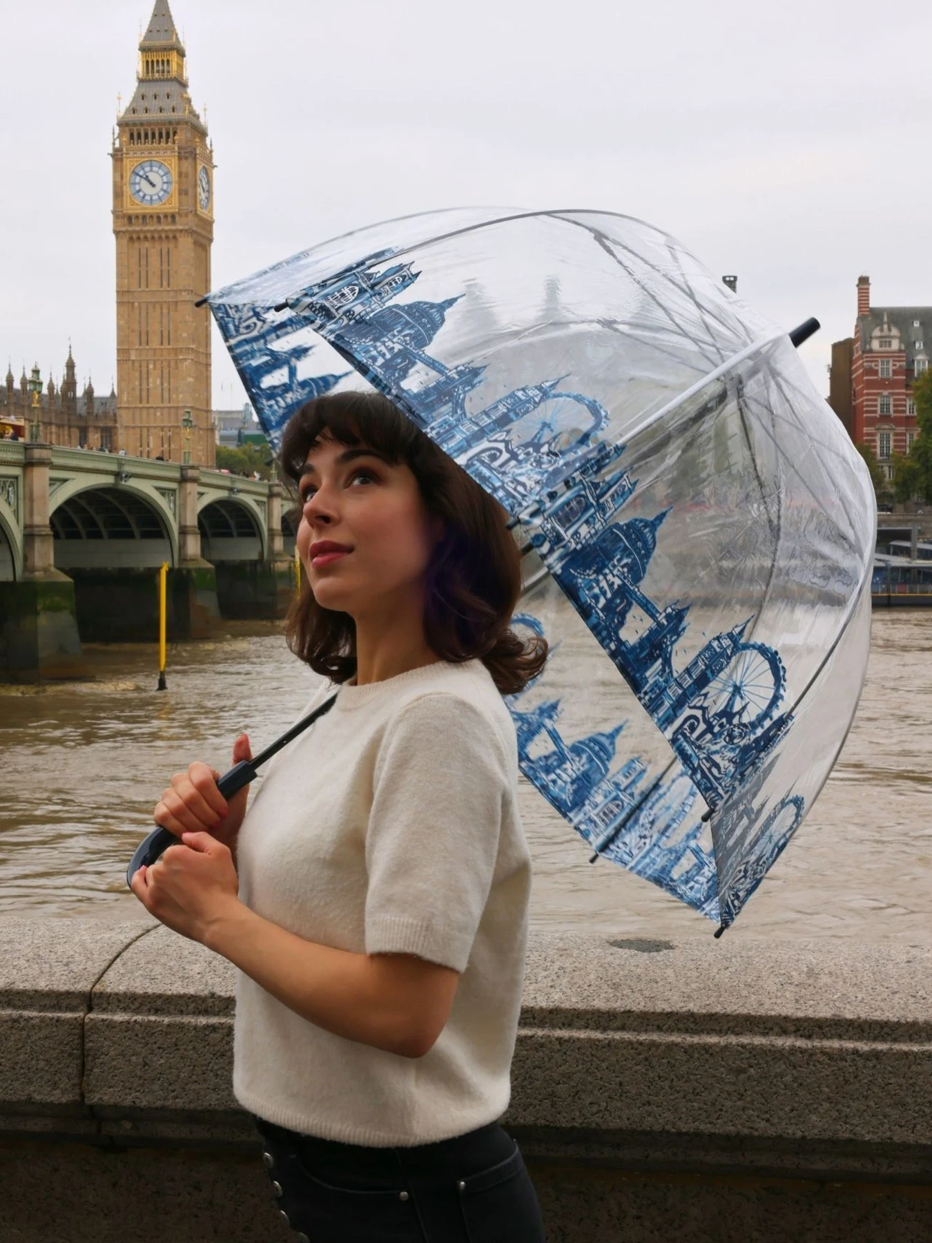 Зонты Fulton Umbrellas Birdcage-2 модель L042-028292 Зонты Fulton Umbrellas Birdcage-2 модель L042-028292 Фото