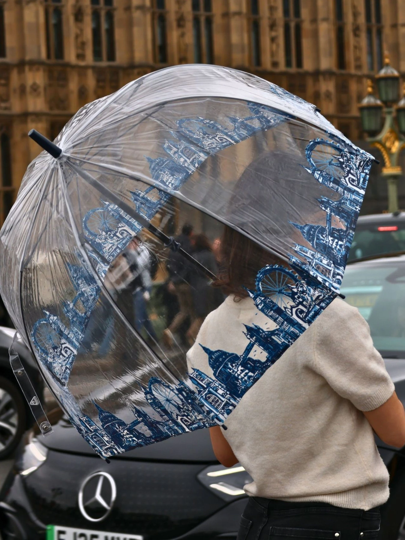 Зонты Fulton Umbrellas Birdcage-2 модель L042-028292 Зонты Fulton Umbrellas Birdcage-2 модель L042-028292 Фото