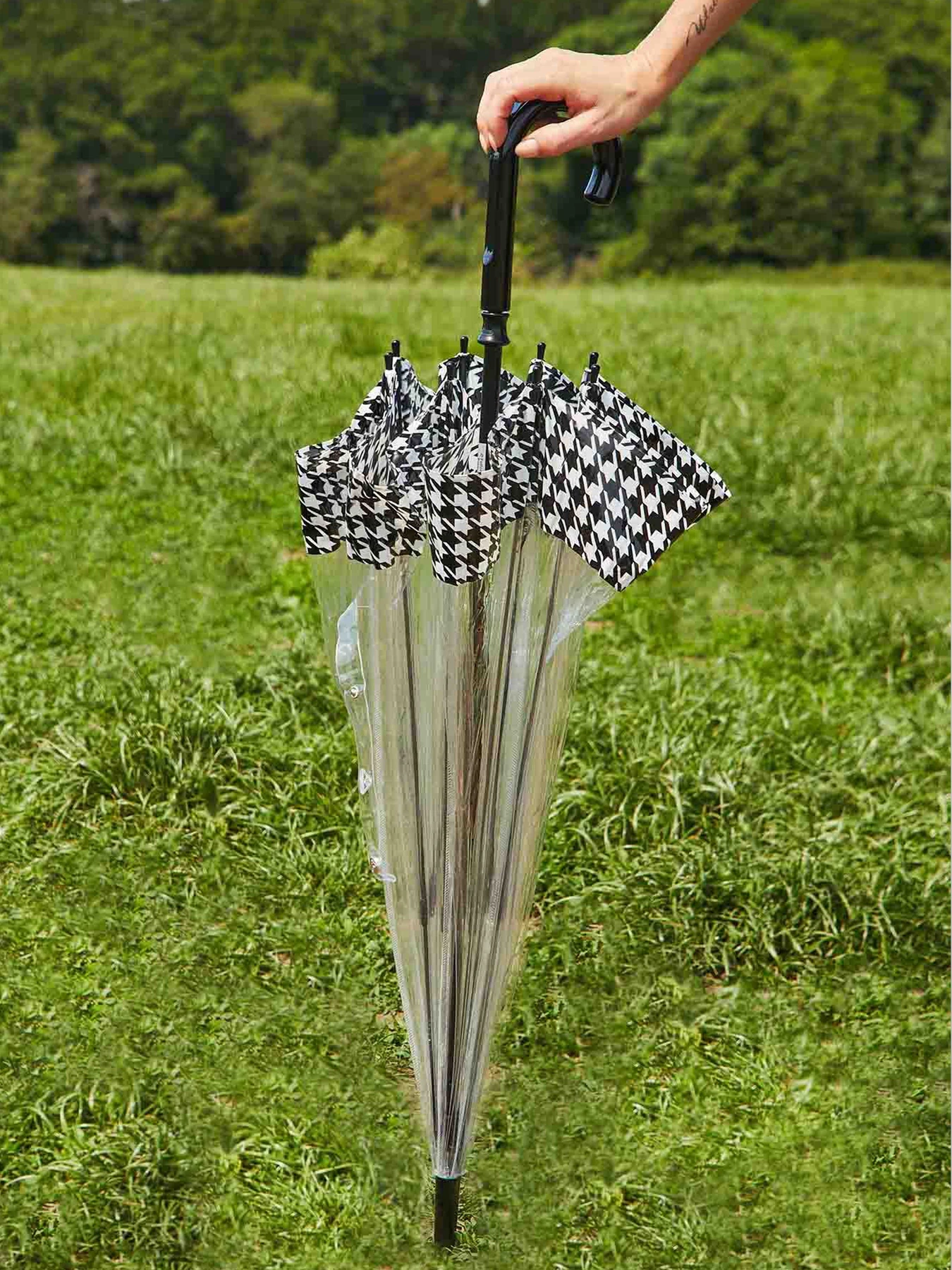 Зонты Fulton Umbrellas Birdcage-2 модель L042-039694 Зонты Fulton Umbrellas Birdcage-2 модель L042-039694 Фото