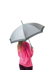 Зонты Fulton Umbrellas Riva Auto-2 модель L065-020395 Фото
