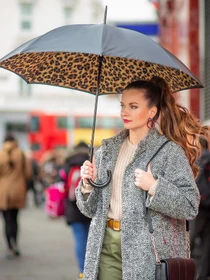 Зонты Fulton Umbrellas Bloomsbury-2 модель L754-034941 Фото