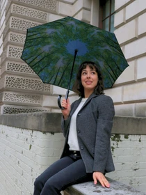 Парасольки Fulton Umbrellas Bloomsbury-2 модель L754-036600 Фото