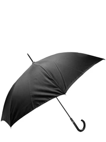 Зонты Fulton Umbrellas Bloomsbury-2 модель L754-039328 Фото
