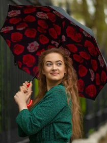 Зонты Fulton Umbrellas Bloomsbury-2 модель L754-041260 Фото