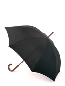Зонты Fulton Umbrellas Kensington-1 модель L776-025147 Фото