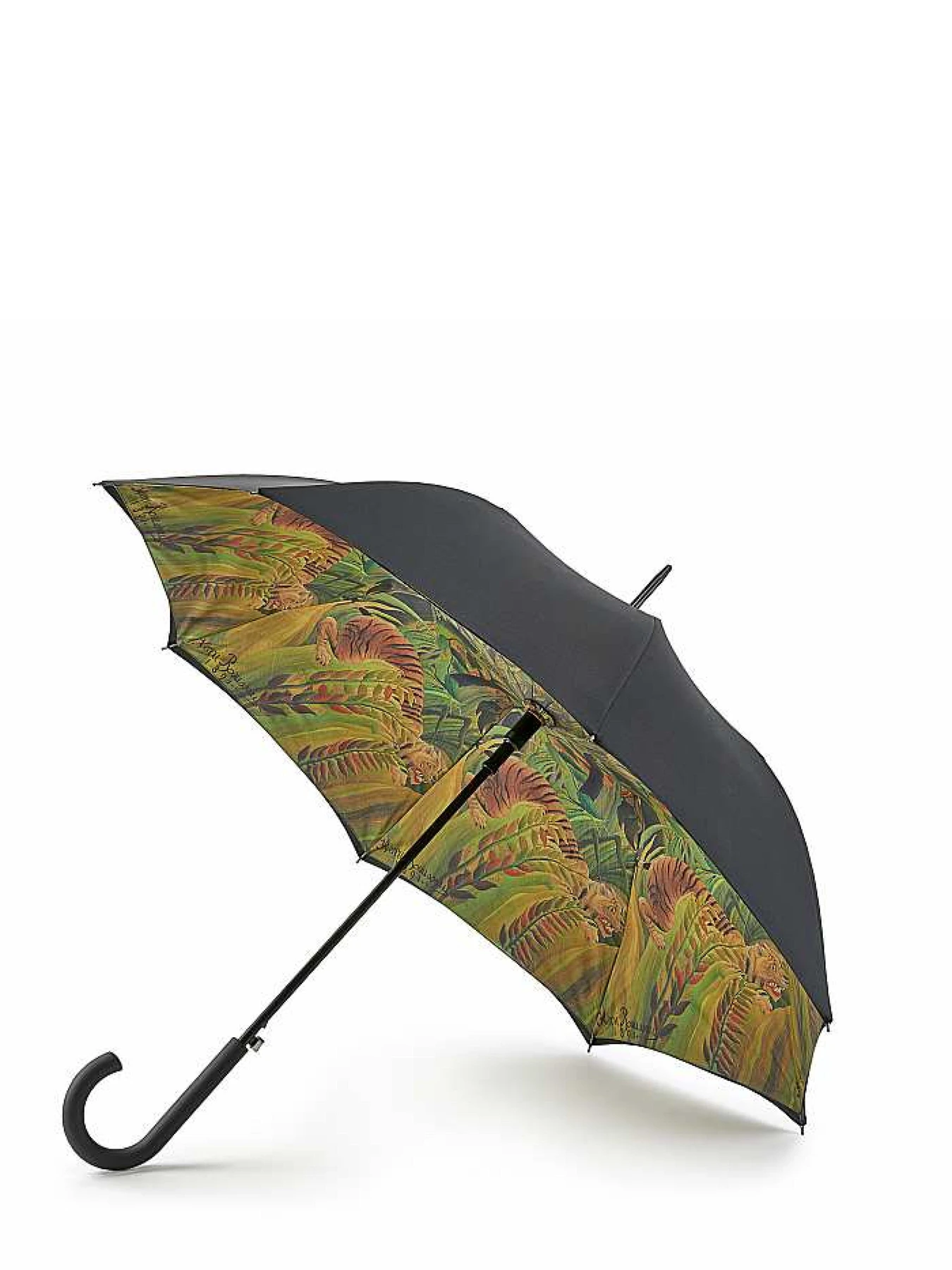 Зонты Fulton Umbrellas Bloomsbery-2 модель L847-038468 Зонты Fulton Umbrellas Bloomsbery-2 модель L847-038468 Фото