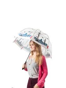 Зонты Fulton Umbrellas Birdcage-2 модель L848-031841 Фото