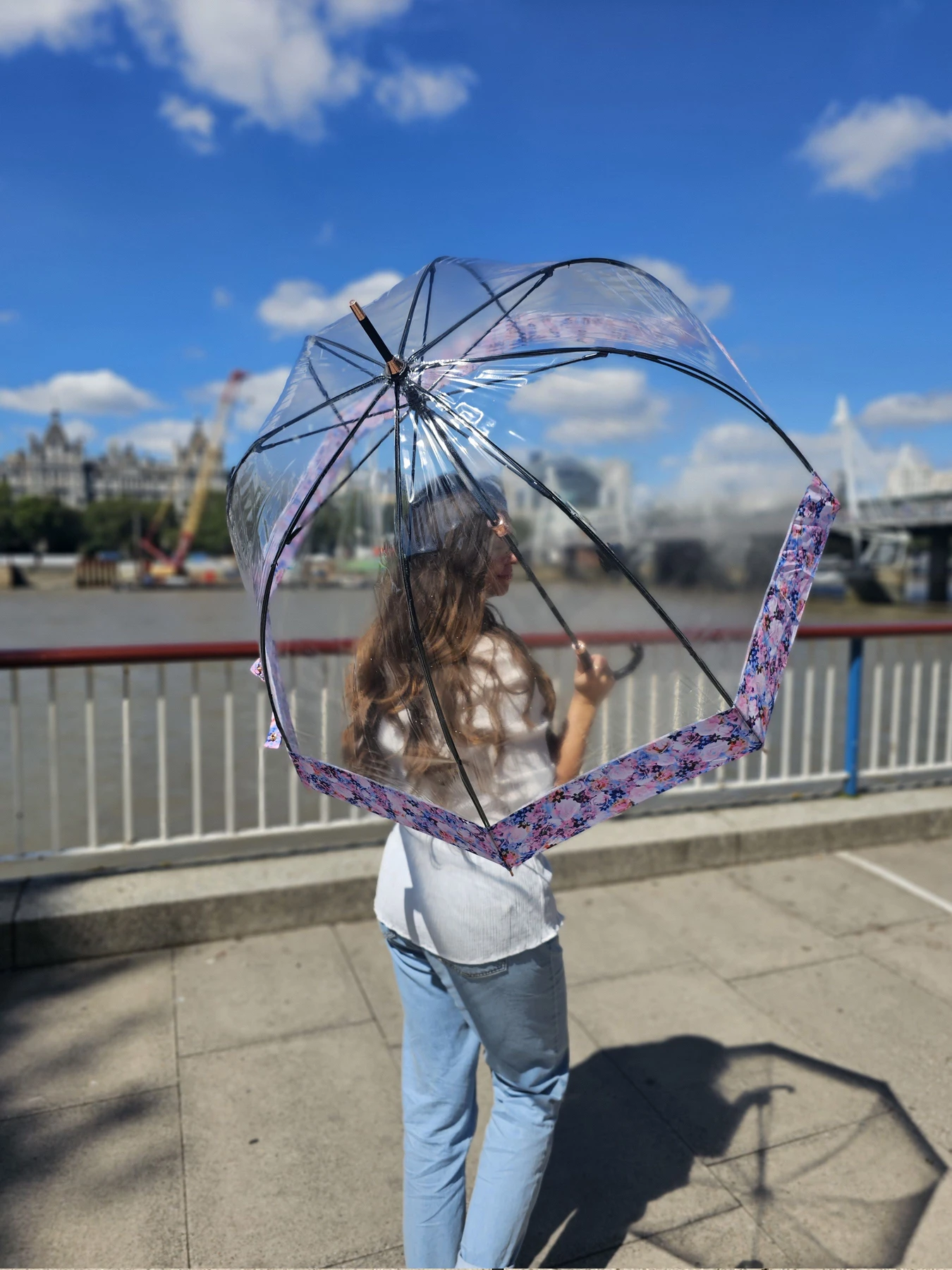Зонты Fulton Umbrellas Birdcage-2 модель L866-037768 Фото