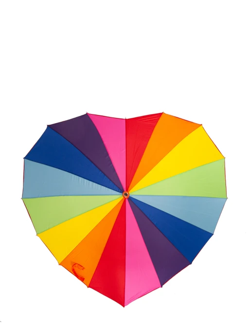Зонты Fulton Umbrellas Walker-1 модель L909-040416 Фото