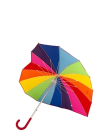 Зонты Fulton Umbrellas Walker-1 модель L909-040416 Фото