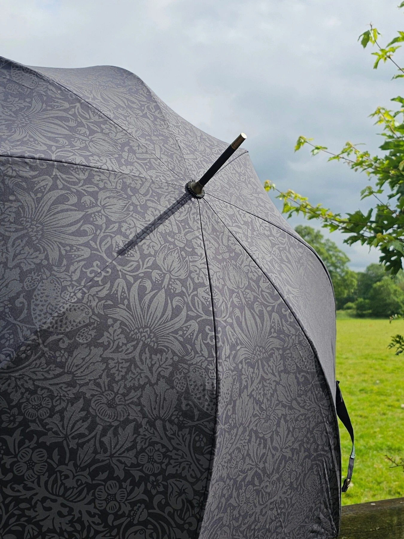 Зонты Fulton Umbrellas Hampstead модель L936-040706 Фото