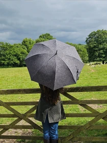 Зонты Fulton Umbrellas Hampstead модель L936-040706 Фото