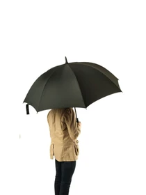 Зонты Fulton Umbrellas Cyclone модель S837-025277 Фото