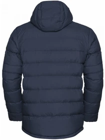 Куртки и дубленки Jack Wolfskin Ather down hoody m rds модель 1207671_T0352 Фото