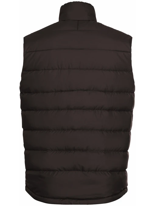 Чоловічий Утеплений жилет Jack Wolfskin Ather down vest m rds фото 2