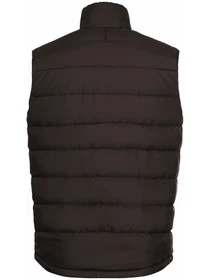 Куртки и дубленки Jack Wolfskin Ather down vest m rds модель 1207691_D0108 Фото