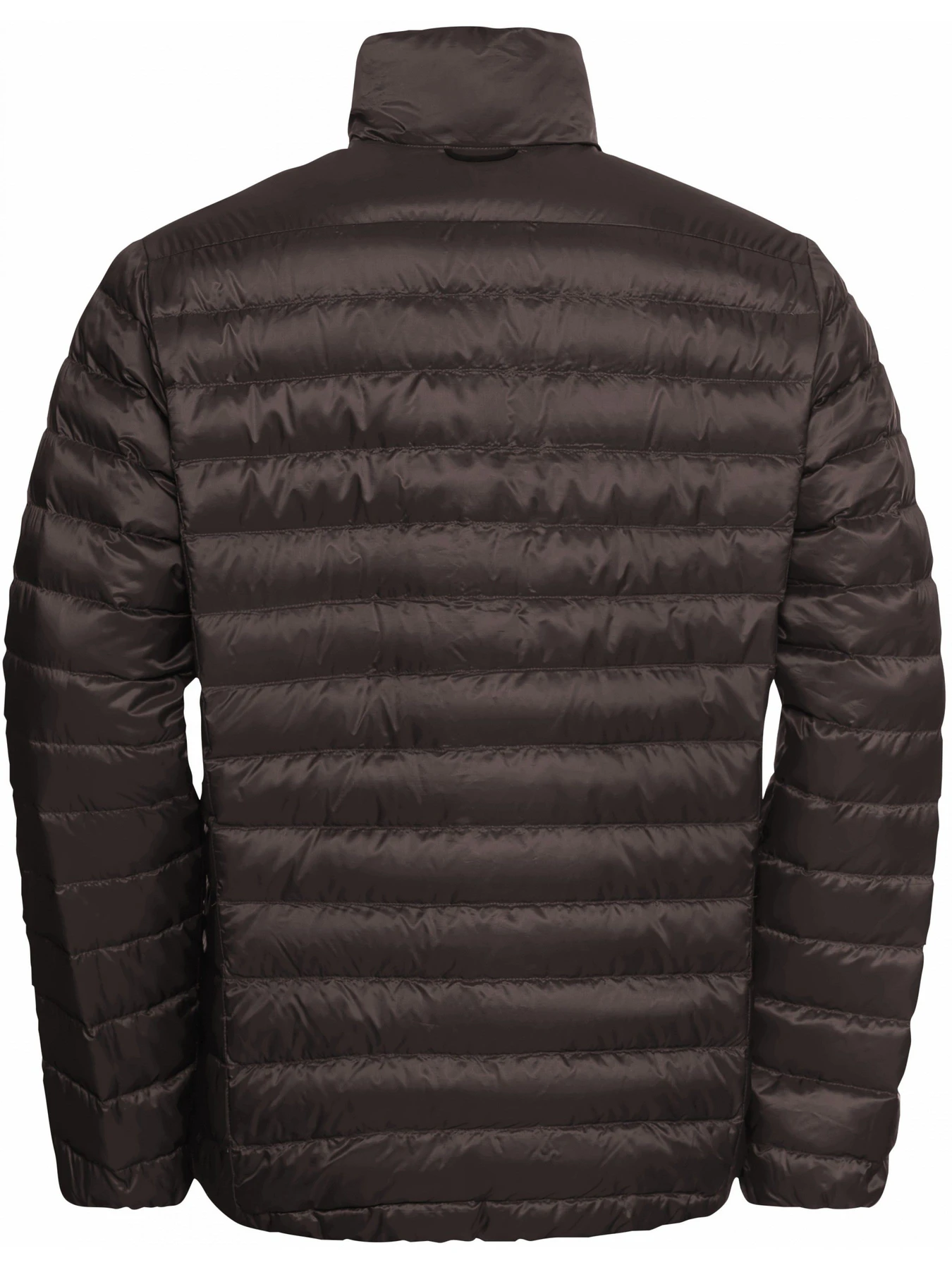 Куртки та дублянки Jack Wolfskin Pilvi down jkt m rds модель 1207701_D0108 Фото