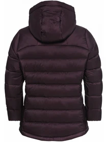 Куртки и дубленки Jack Wolfskin Nebelhorn down hoody w rds модель A61829_I0116 Фото