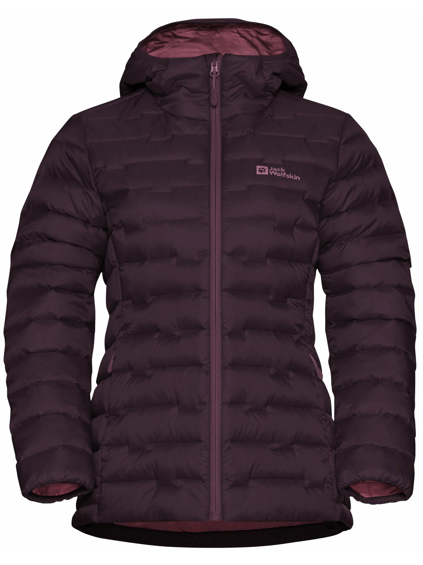 Куртки и дубленки Jack Wolfskin Passamani down hoody w rds модель A61833_I0116 Фото