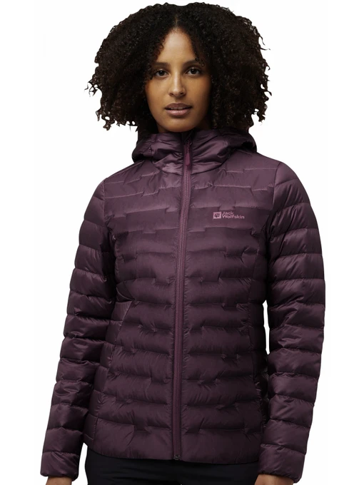 Куртки и дубленки Jack Wolfskin Passamani down hoody w rds модель A61833_I0116 Фото