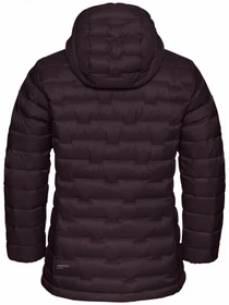 Куртки и дубленки Jack Wolfskin Passamani down hoody w rds модель A61833_I0116 Фото