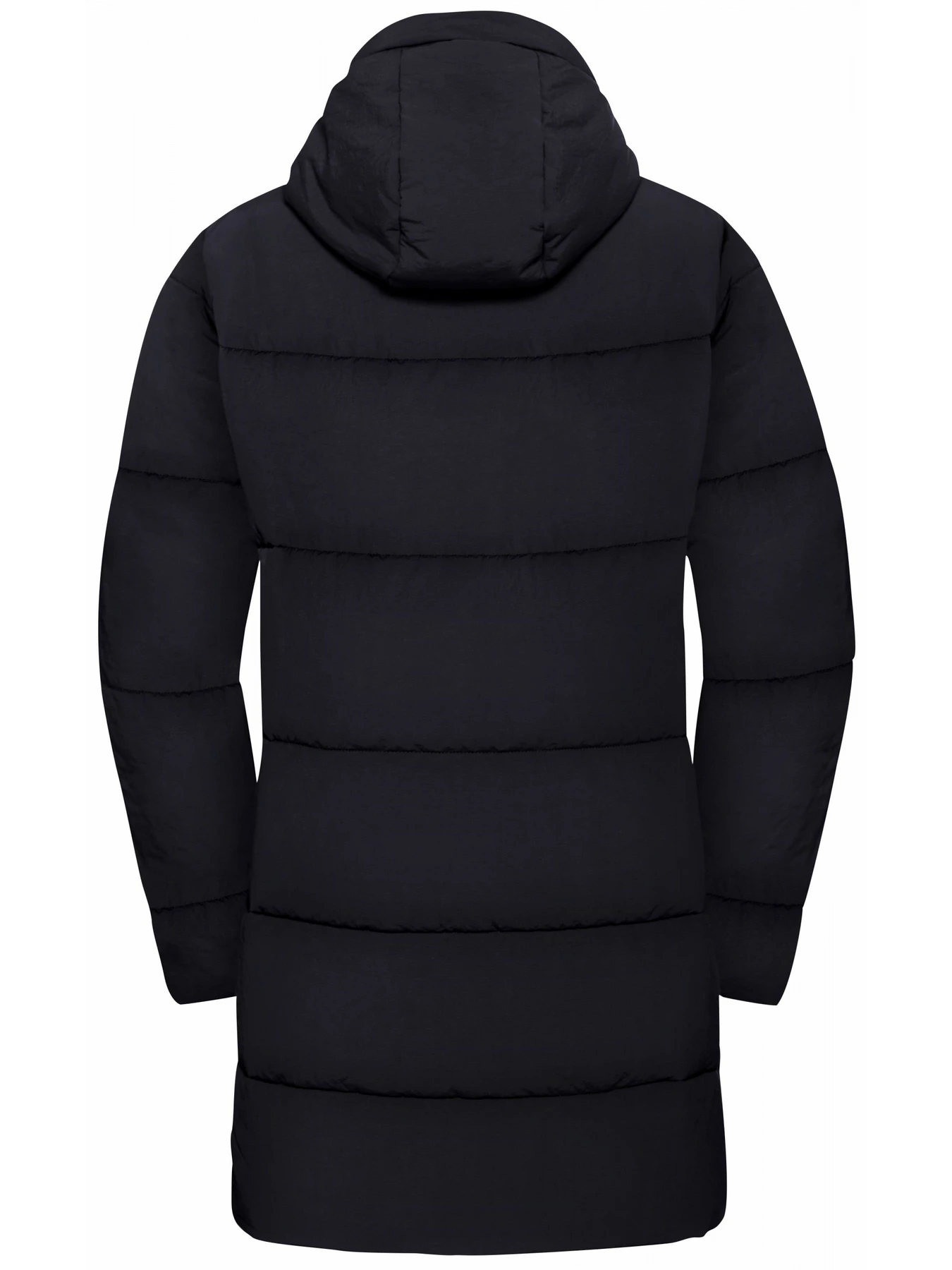 Куртки и дубленки Jack Wolfskin Northern lite coat w модель A65067_C0413 Фото