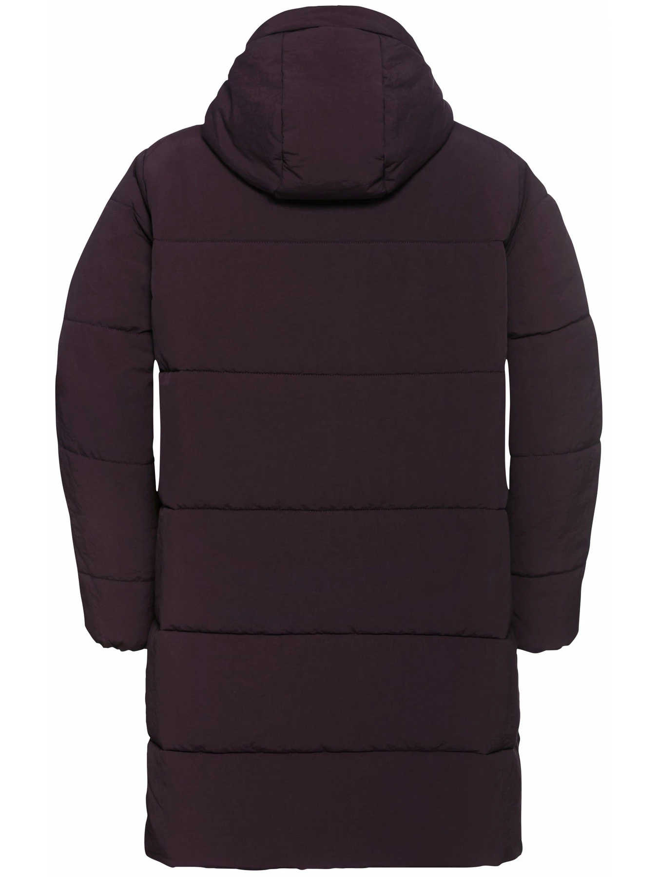 Куртки и дубленки Jack Wolfskin Northern lite coat w модель A65067_I0116 Фото