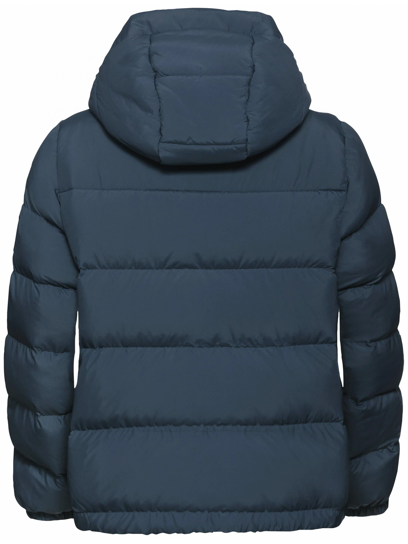 Куртки и дубленки Jack Wolfskin Frozen palace jkt w rds модель A65097_C0539 Фото
