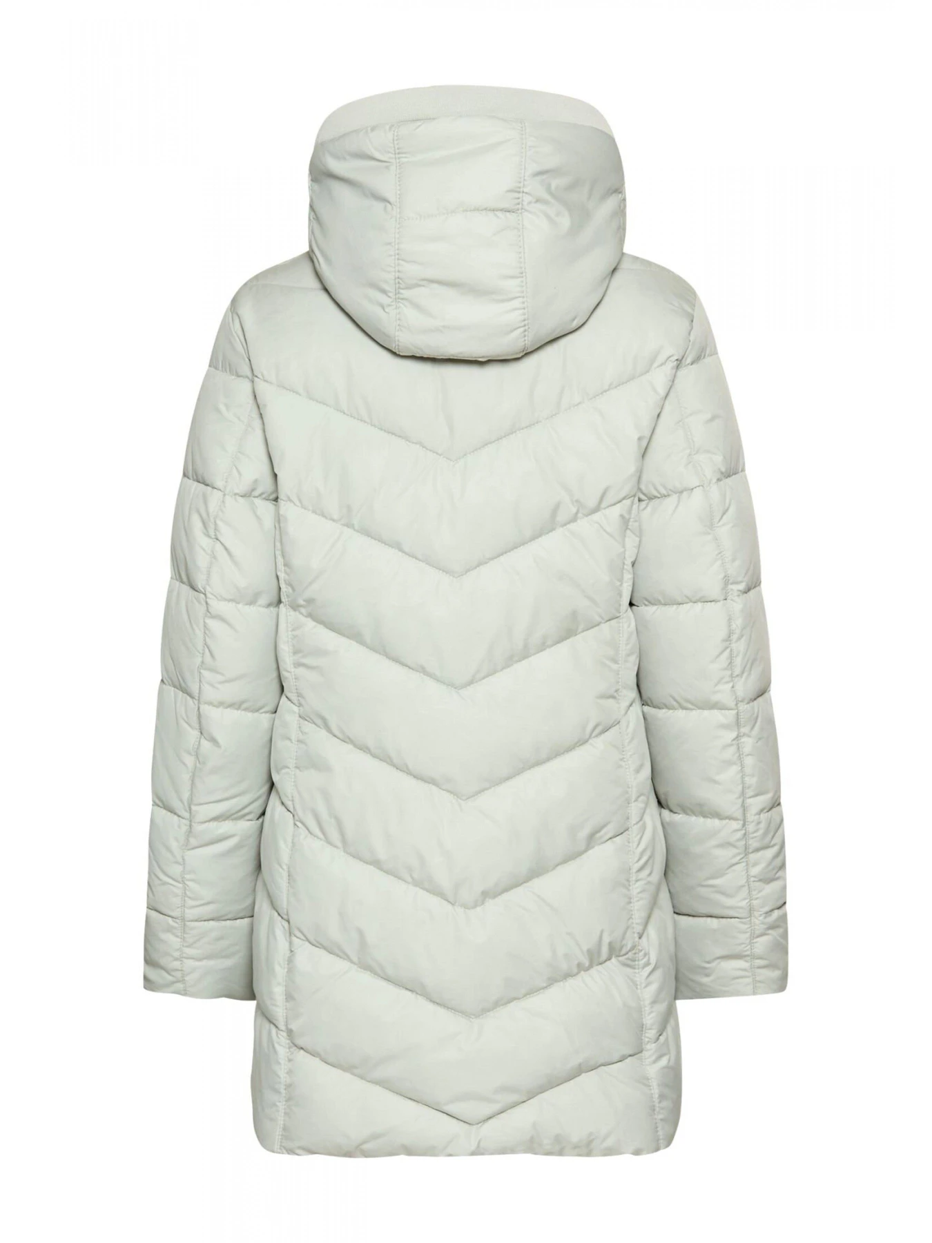 Куртки и дубленки Camel Active Jacket модель 320560-6F28-35 Фото